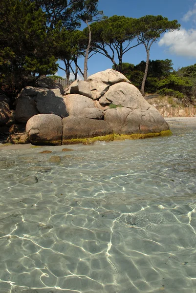 Strand Von Palombaggia — Stockfoto