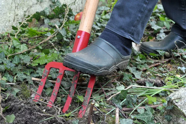 Piantare Una Forchetta Nel Terreno Con Piede Primo Piano — Foto Stock