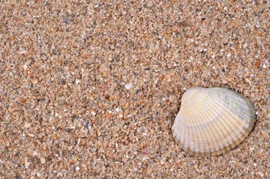 Yakın planda kumda çukur kazmak