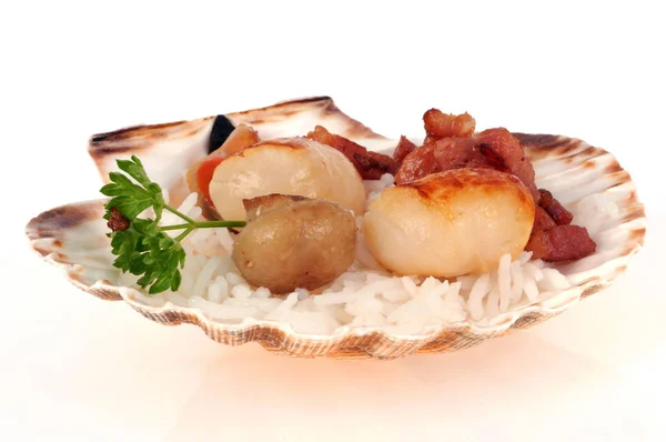 Vieira Cozida Com Arroz Cogumelos Bacon Servido Close Shell Fundo — Fotografia de Stock