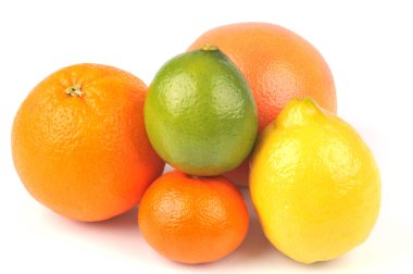 Beyaz arka planda portakal, limon, mandalina ve greyfurt yakın plan. 