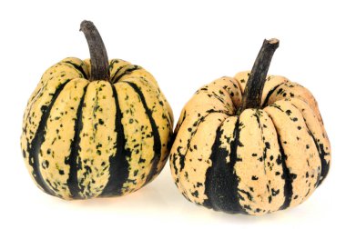 Patioux beyaz arkaplanda yakın plan 