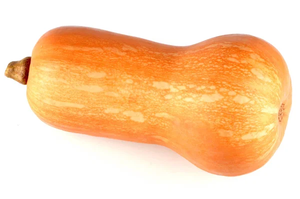 Butternut Squash Närbild Vit Bakgrund — Stockfoto