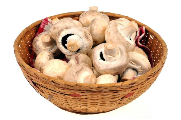 Wicker Basket Button Mushrooms Close White Background — Stock Photo, Image