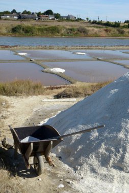 Loire-Atlantik 'te Guerande' nin tuzlu bataklığında el arabası. 