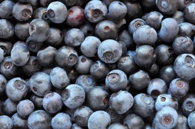 Yaban mersinleri toplu olarak arka planı kapatın