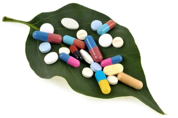 Концепция Травяной Медицины Лекарствами Листьях Белом Фоне — стоковое фото