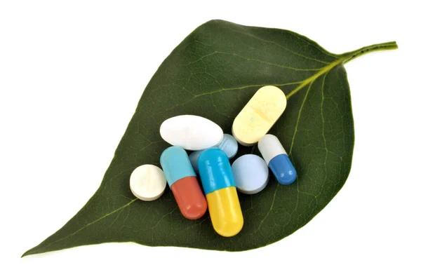 Bylinná Medicína Koncept Léky Listu Zblízka Bílém Pozadí — Stock fotografie