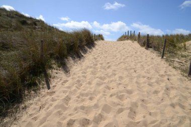 Dune, La Cotiniere plajının girişinde.
