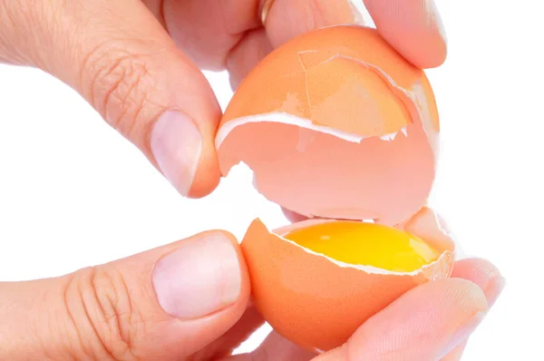 Kabuğundaki Yumurta Sarısı Beyaz Arkaplanda Ele Tutuşmuş — Stok fotoğraf