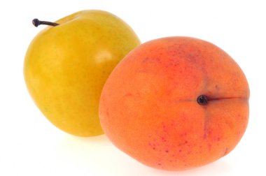 Kayısı ve erik beyaz arkaplanda yakın plan