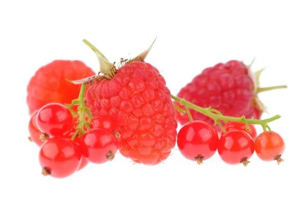 Raspberries Red Currants Close White Background — Stock Photo, Image