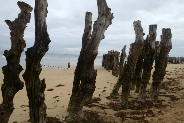 해변의 방파제 — 스톡 사진