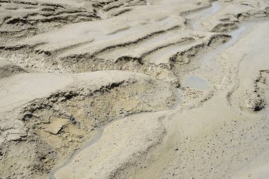 Brittany 'de kıyı şeridinde alüvyonlu manzara 