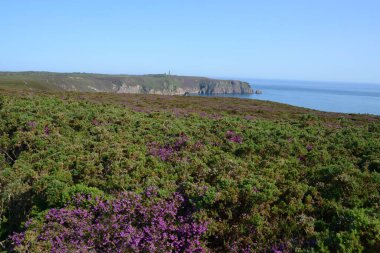 Cap Frehel in Cotes-d 'Armor in Brittany 