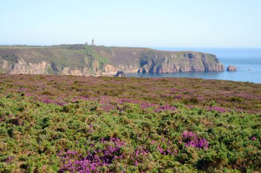 Cap Frehel in Cotes-d 'Armor in Brittany