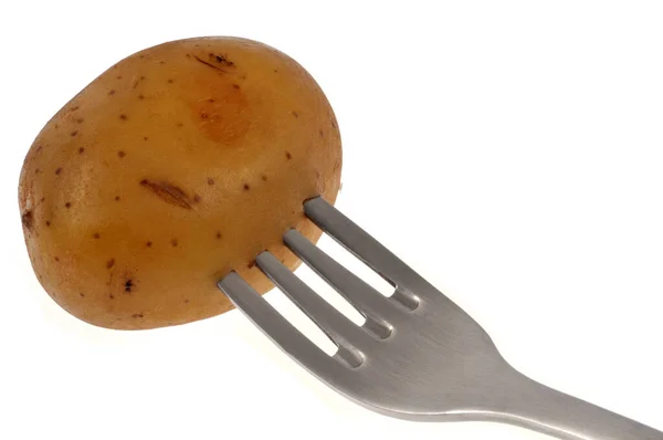 Potato Cooked Water Pricked Fork Close White Background — Stock Photo, Image