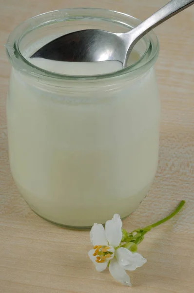 Glas Vanillejoghurt Glas Mit Einer Blume — Stockfoto