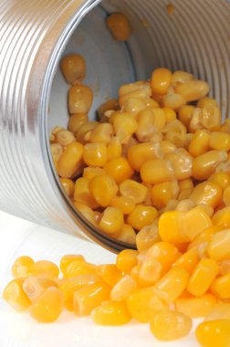 Mısır beyaz arkaplanda kapanabilir 