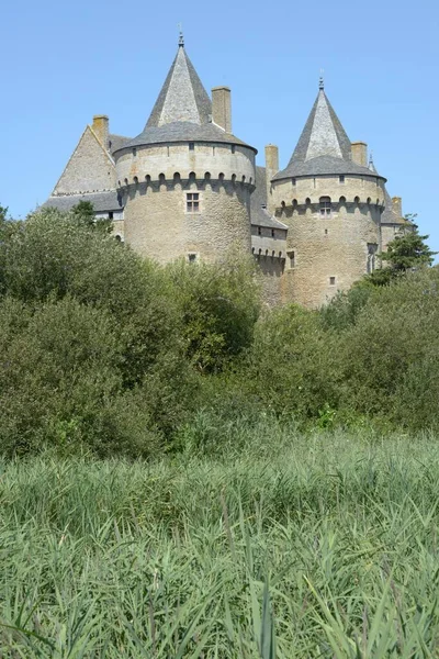 Castelo Suscinio Morbihan Bretanha — Fotografia de Stock