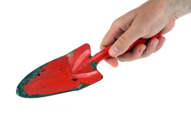 Çiçekçi beyaz arkaplanda yakın planda. 