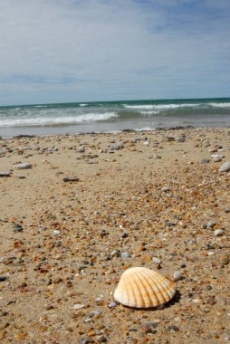 Bükreş 'te bir Brittany sahilinde sular çekildiğinde