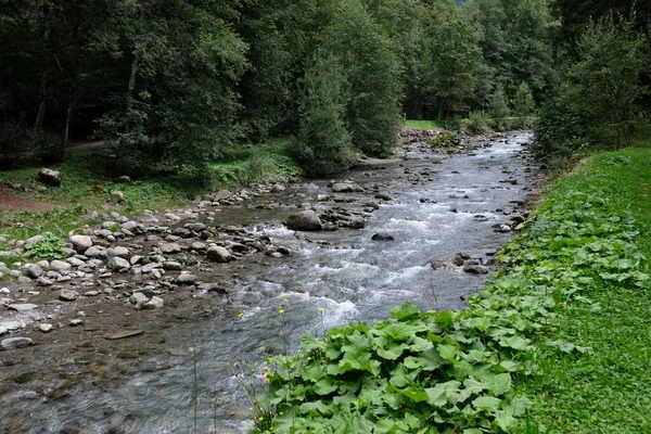 Fransız Alplerindeki Haute-Savoie Morzine 'deki La Dranse nehri.