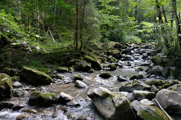 Torrent Nyon Morzine Haute Savoie — Stockfoto