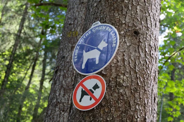 Schilder Einem Baum Die Auf Französisch Für Hunde Außer Der — Stockfoto