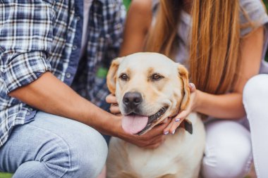 Genç çift köpek ile dinlenme görünümünü kırpılmış