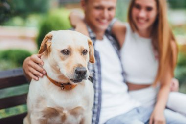 Güzel çift ile köpek ön planda bankta oturan 