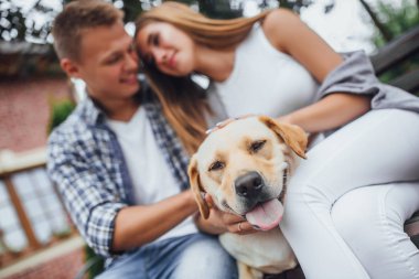 Genç aile okşayarak köpek, ön plan odaklanmak