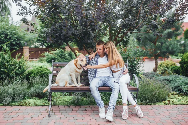 Echtpaar Met Hond Park Zonnige Dag Focus Voorgrond — Stockfoto