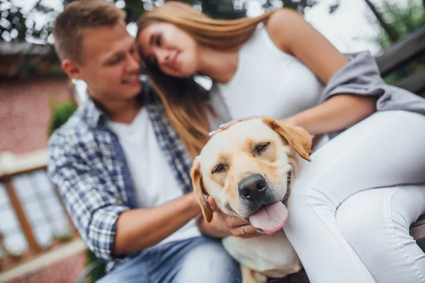 Joven Familia Acariciando Perro Centran Primer Plano — Foto de Stock