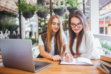İki genç iş kadınları laptop ile Office masada otururken tartışıyor