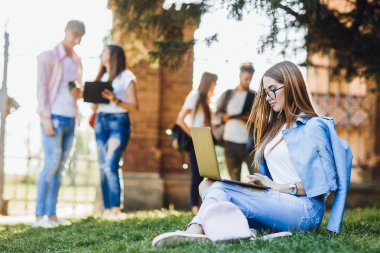 çim üzerinde dizüstü bilgisayar kullanarak güzel kadın, arka planda arkadaşlar