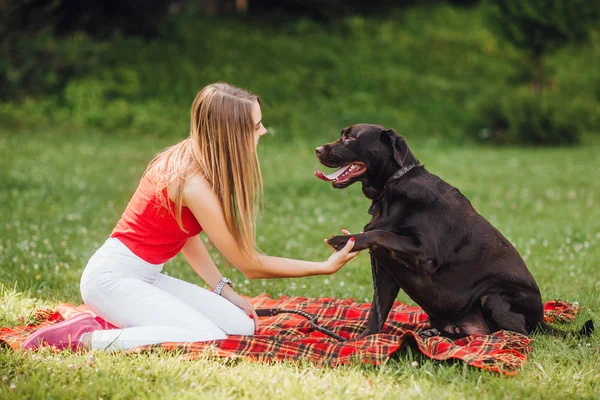 Blondine Und Labrador Spielen Garten — Stockfoto