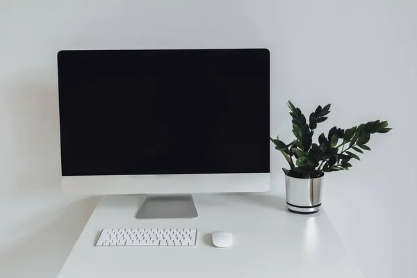 白いテーブルの上のデスクトップと職場 1つの緑の植木鉢と現代的な装飾 — ストック写真