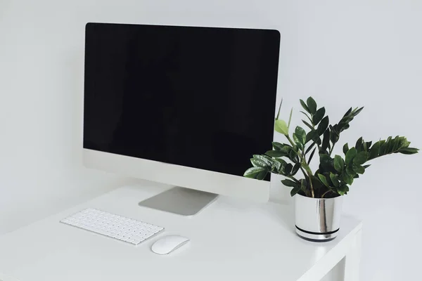 Workplace with desktop on white table, modern decoration with one green flowerpot