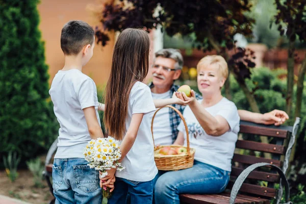 Großeltern Sitzen Draußen Mit Enkeln Und Lächeln Mit Einem Korb — Stockfoto