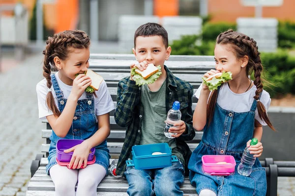 Crianças Comendo Livre Escola Lancheiras — Fotografia de Stock