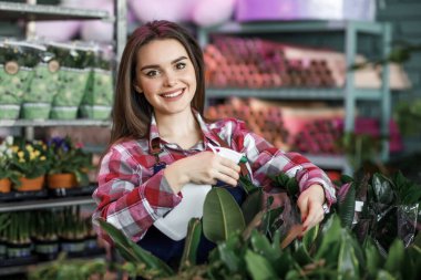 Sulama konsepti. Sprey şişeli güzel bir kadın bitkileri ilaçlıyor..