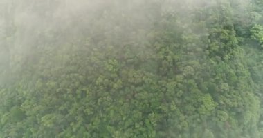 Dağ içinde Milli Parkı Vietnam Bach Ma zirvesine. Parkta üstten görünüm inanılmaz.