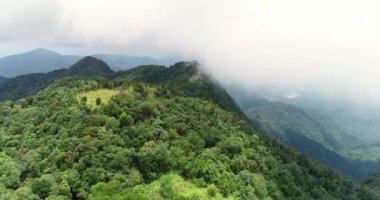 Dağ içinde Milli Parkı Vietnam Bach Ma zirvesine. Parkta üstten görünüm inanılmaz.