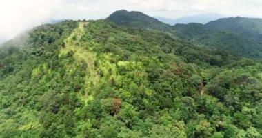 Dağ içinde Milli Parkı Vietnam Bach Ma zirvesine. Parkta üstten görünüm inanılmaz.