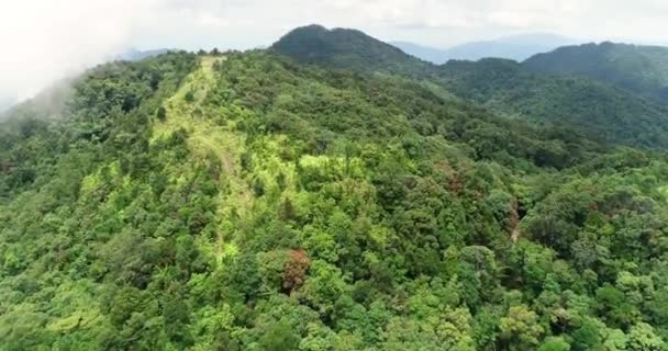 Summit Mountain National Park Vietnam Bach View Top Park Amazing — Stock Video