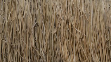 Reklam ve tasarım oluşturmada yardımcı olur arka plan.