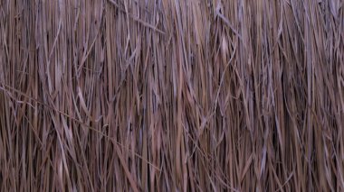 Reklam ve tasarım oluşturmada yardımcı olur arka plan.