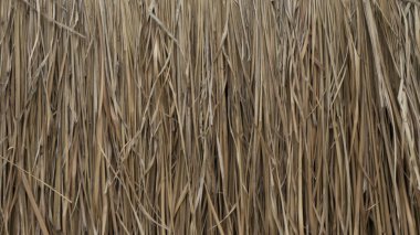 Reklam ve tasarım oluşturmada yardımcı olur arka plan.