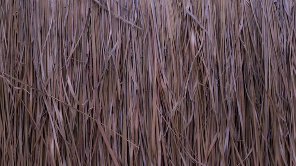 Reklam ve tasarım oluşturmada yardımcı olur arka plan.